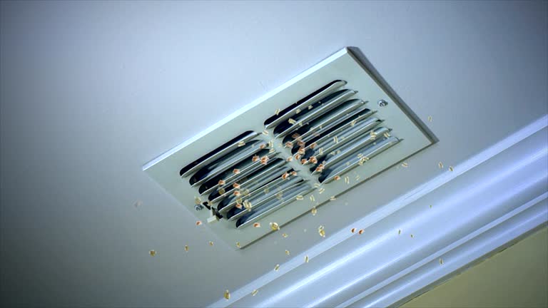 Best Ductwork Cleaning Services  in Abbeville, AL