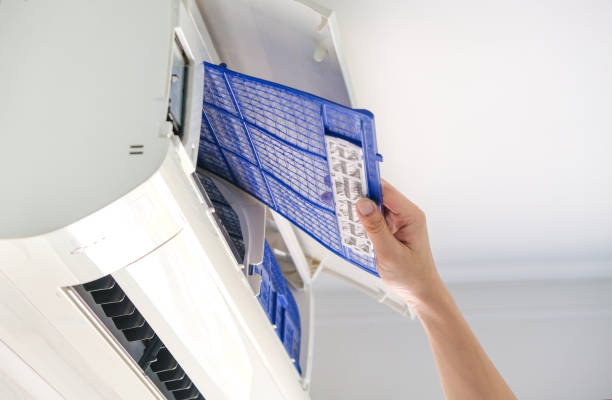 Best Dryer Vent Cleaning Services  in Abbeville, AL